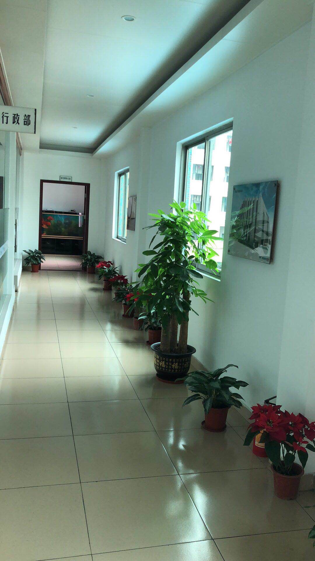 公司环境